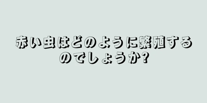 赤い虫はどのように繁殖するのでしょうか?