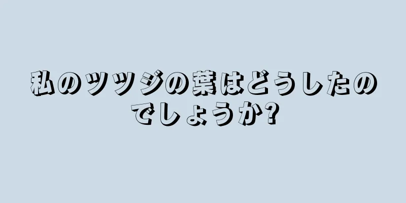 私のツツジの葉はどうしたのでしょうか?