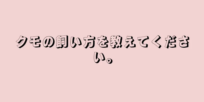 クモの飼い方を教えてください。