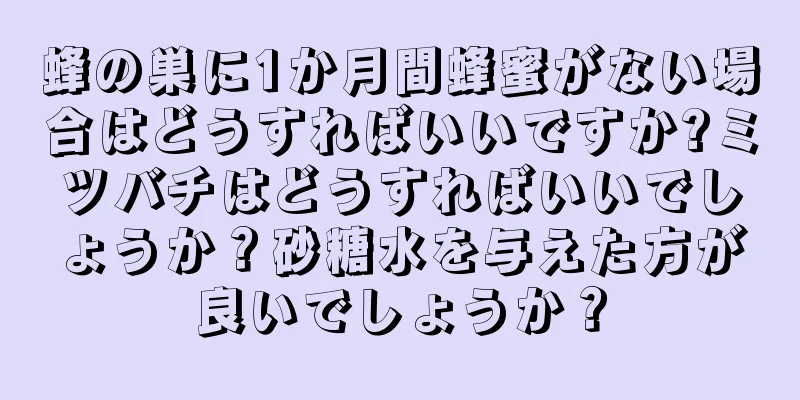 蜂の巣に1か月間蜂蜜がない場合はどうすればいいですか?ミツバチはどうすればいいでしょうか？砂糖水を与えた方が良いでしょうか？