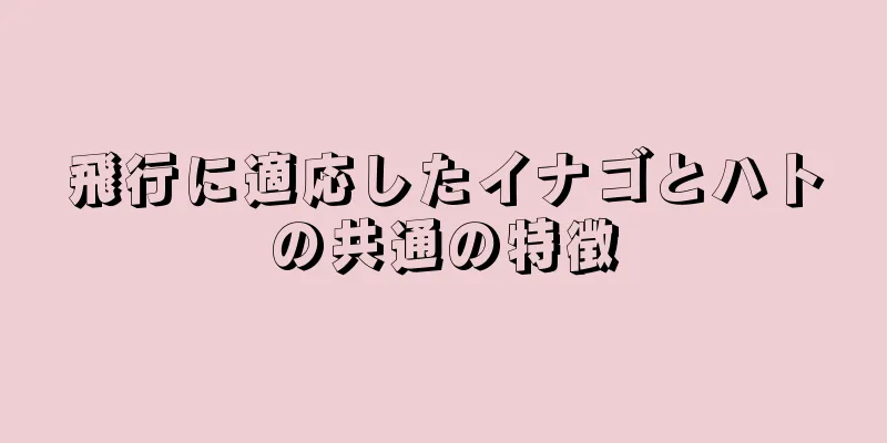 飛行に適応したイナゴとハトの共通の特徴