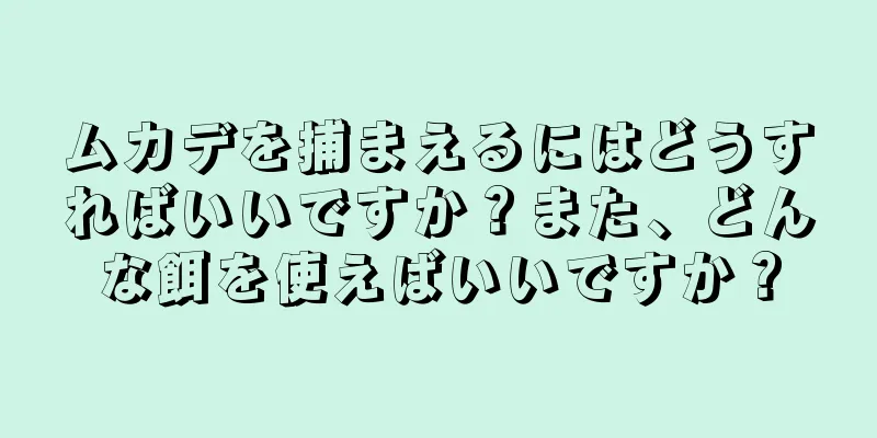 ムカデを捕まえるにはどうすればいいですか？また、どんな餌を使えばいいですか？