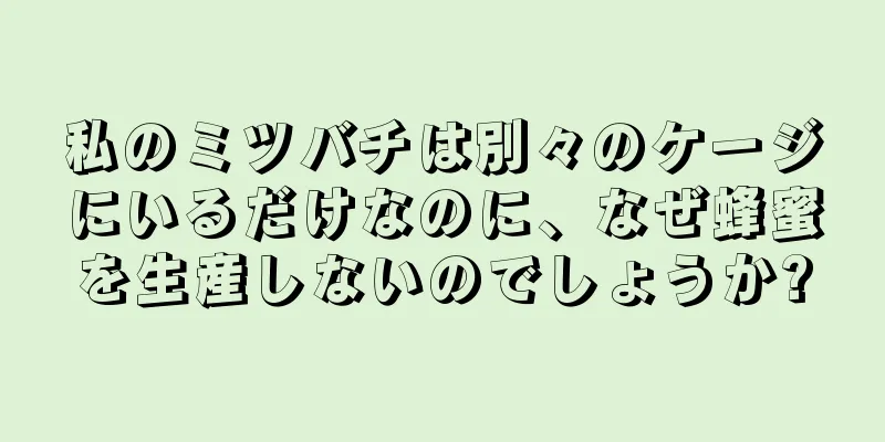 私のミツバチは別々のケージにいるだけなのに、なぜ蜂蜜を生産しないのでしょうか?