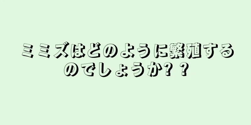 ミミズはどのように繁殖するのでしょうか? ?