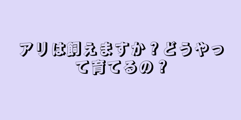 アリは飼えますか？どうやって育てるの？