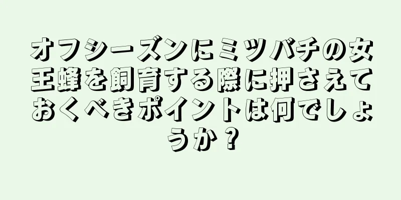 オフシーズンにミツバチの女王蜂を飼育する際に押さえておくべきポイントは何でしょうか？