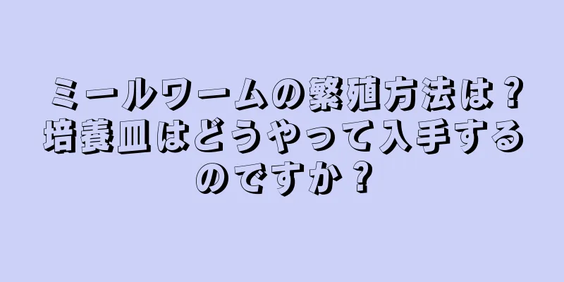 ミールワームの繁殖方法は？培養皿はどうやって入手するのですか？
