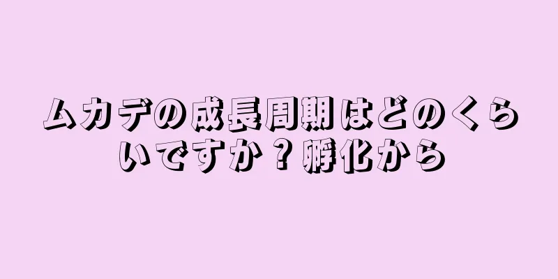 ムカデの成長周期はどのくらいですか？孵化から