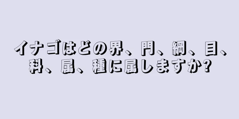 イナゴはどの界、門、綱、目、科、属、種に属しますか?