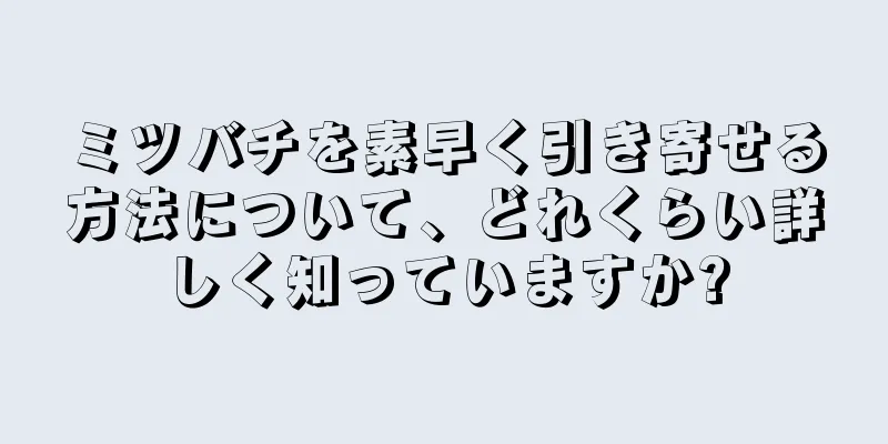 ミツバチを素早く引き寄せる方法について、どれくらい詳しく知っていますか?
