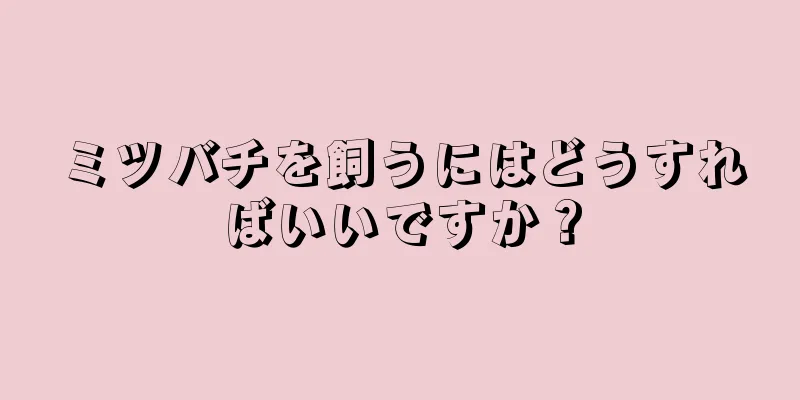 ミツバチを飼うにはどうすればいいですか？