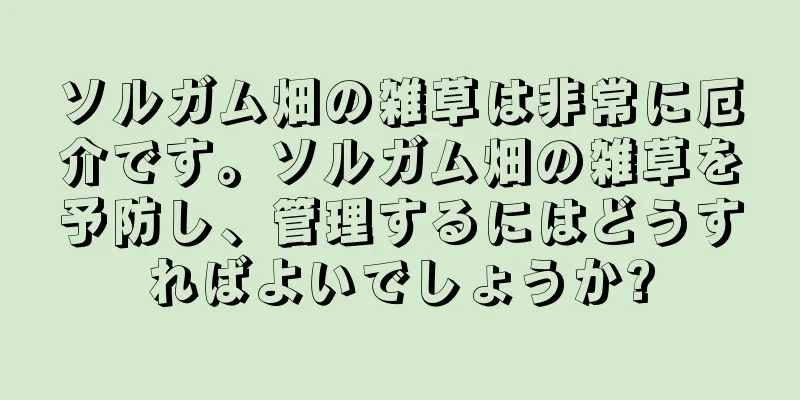 ソルガム畑の雑草は非常に厄介です。ソルガム畑の雑草を予防し、管理するにはどうすればよいでしょうか?
