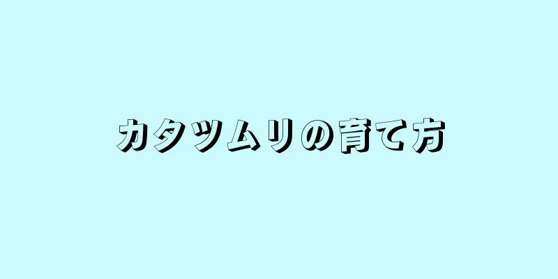 カタツムリの育て方
