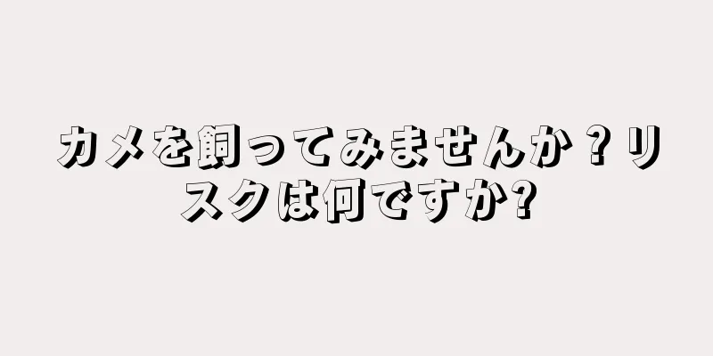 カメを飼ってみませんか？リスクは何ですか?