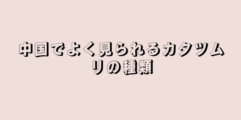 中国でよく見られるカタツムリの種類