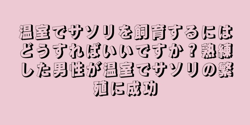 温室でサソリを飼育するにはどうすればいいですか？熟練した男性が温室でサソリの繁殖に成功