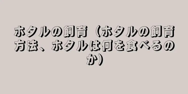 ホタルの飼育（ホタルの飼育方法、ホタルは何を食べるのか）