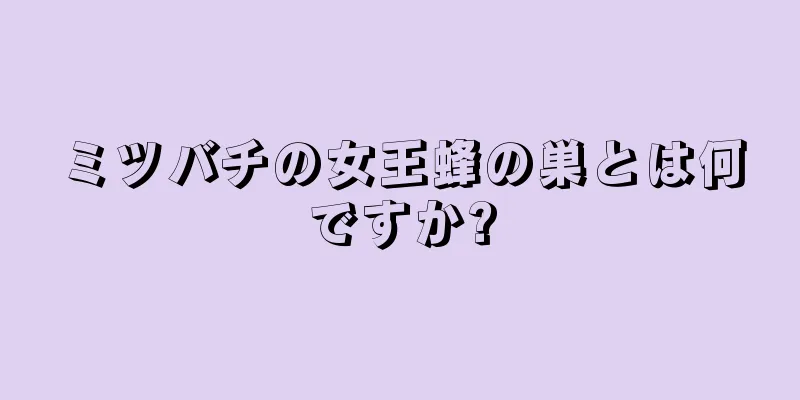 ミツバチの女王蜂の巣とは何ですか?