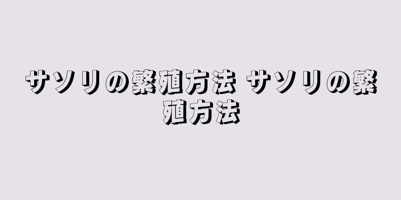 サソリの繁殖方法 サソリの繁殖方法