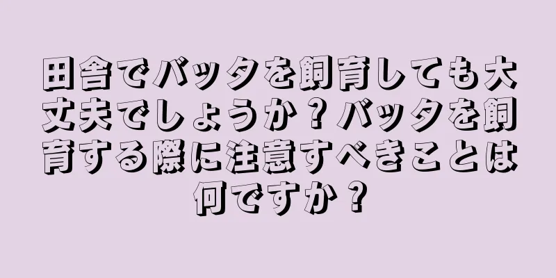 田舎でバッタを飼育しても大丈夫でしょうか？バッタを飼育する際に注意すべきことは何ですか？