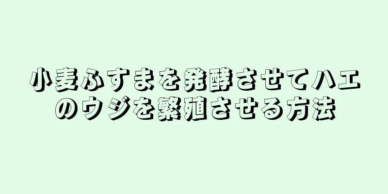 小麦ふすまを発酵させてハエのウジを繁殖させる方法