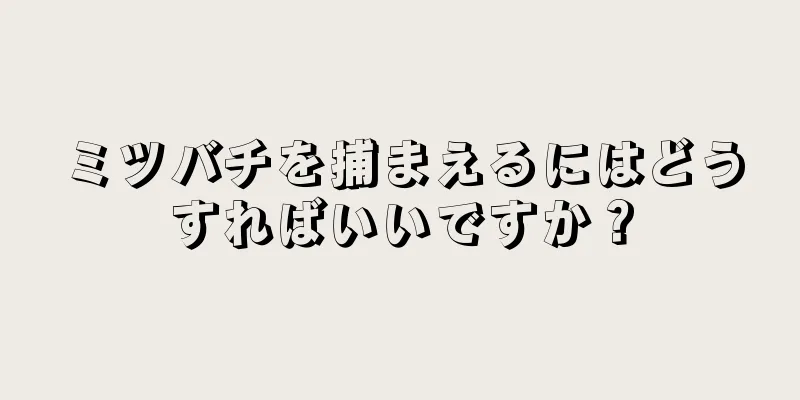 ミツバチを捕まえるにはどうすればいいですか？