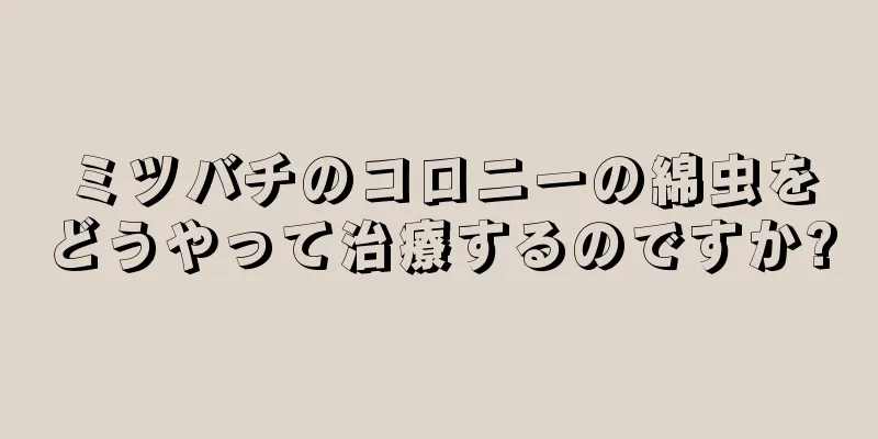 ミツバチのコロニーの綿虫をどうやって治療するのですか?