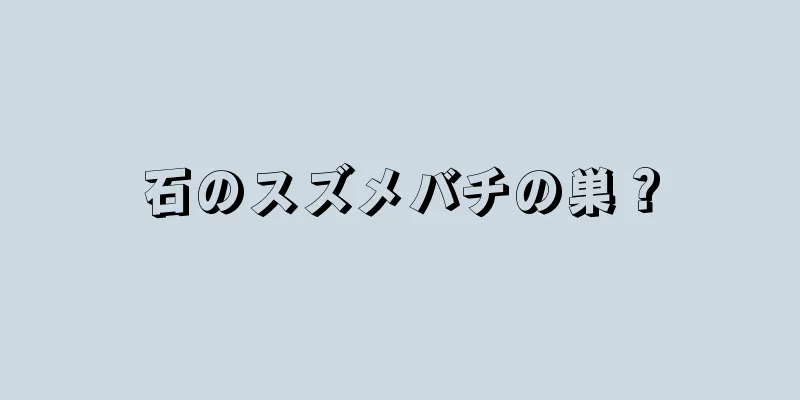 石のスズメバチの巣？