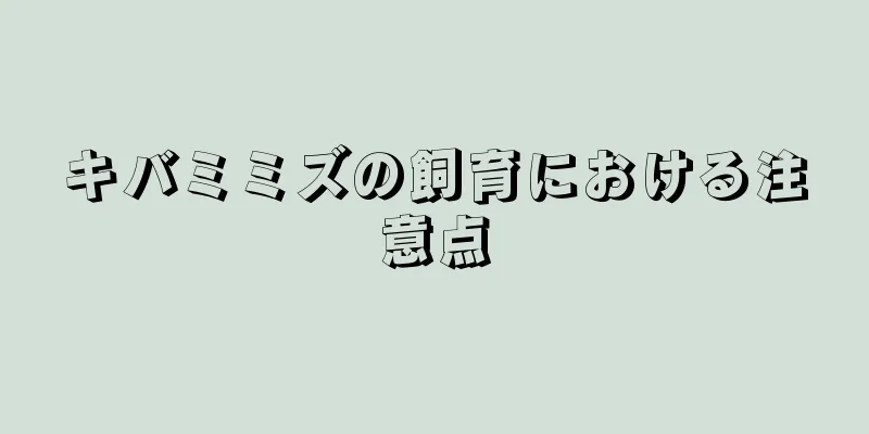 キバミミズの飼育における注意点