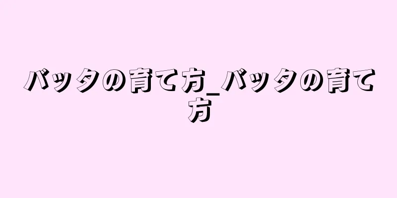 バッタの育て方_バッタの育て方