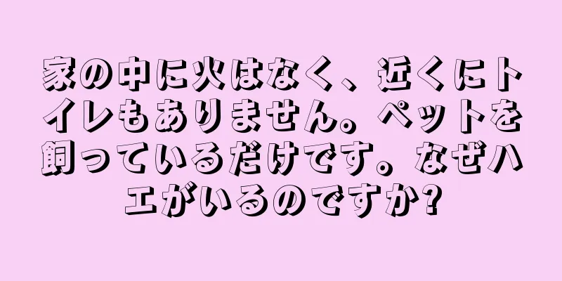家の中に火はなく、近くにトイレもありません。ペットを飼っているだけです。なぜハエがいるのですか?