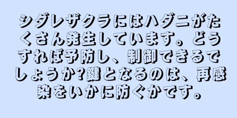 シダレザクラにはハダニがたくさん発生しています。どうすれば予防し、制御できるでしょうか?鍵となるのは、再感染をいかに防ぐかです。