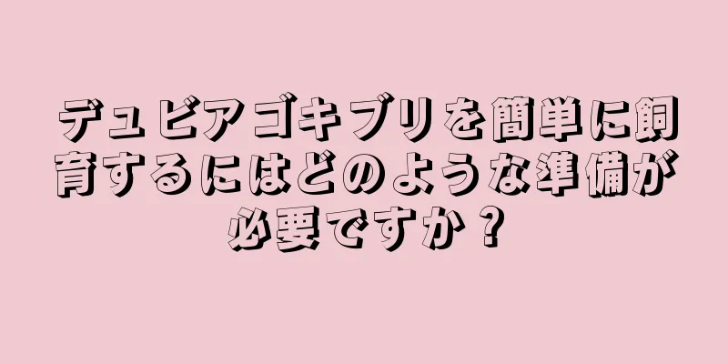 デュビアゴキブリを簡単に飼育するにはどのような準備が必要ですか？
