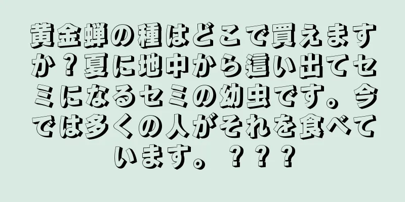 黄金蝉の種はどこで買えますか？夏に地中から這い出てセミになるセミの幼虫です。今では多くの人がそれを食べています。 ? ? ?