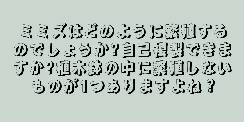 ミミズはどのように繁殖するのでしょうか?自己複製できますか?植木鉢の中に繁殖しないものが1つありますよね？