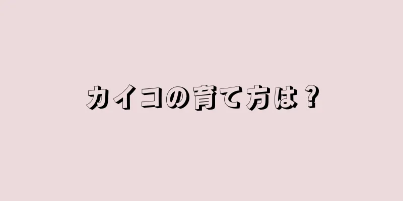 カイコの育て方は？