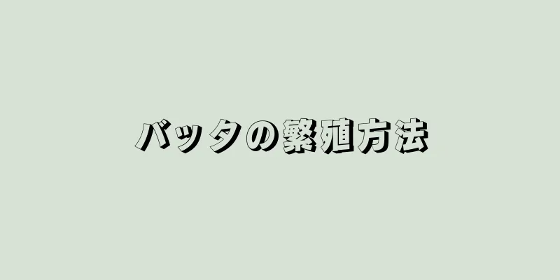 バッタの繁殖方法