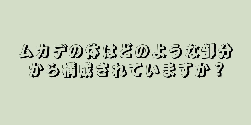 ムカデの体はどのような部分から構成されていますか？
