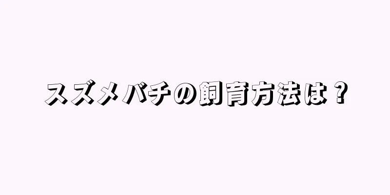 スズメバチの飼育方法は？