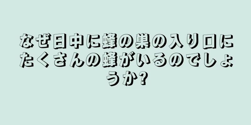 なぜ日中に蜂の巣の入り口にたくさんの蜂がいるのでしょうか?