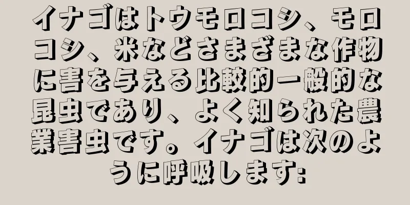 イナゴはトウモロコシ、モロコシ、米などさまざまな作物に害を与える比較的一般的な昆虫であり、よく知られた農業害虫です。イナゴは次のように呼吸します: