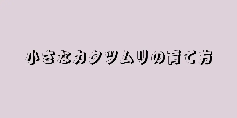 小さなカタツムリの育て方