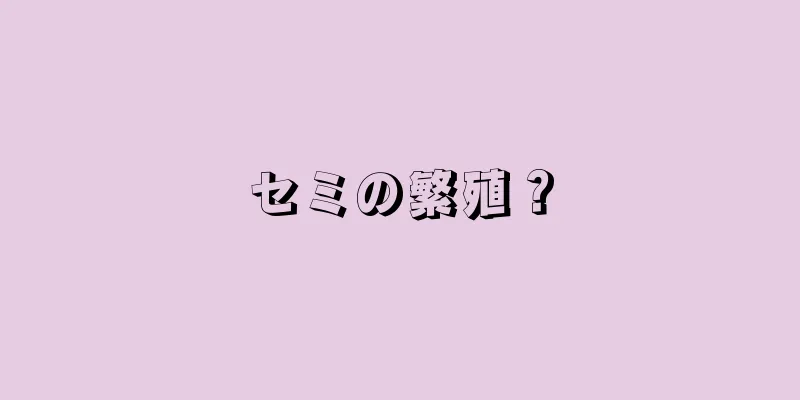 セミの繁殖？