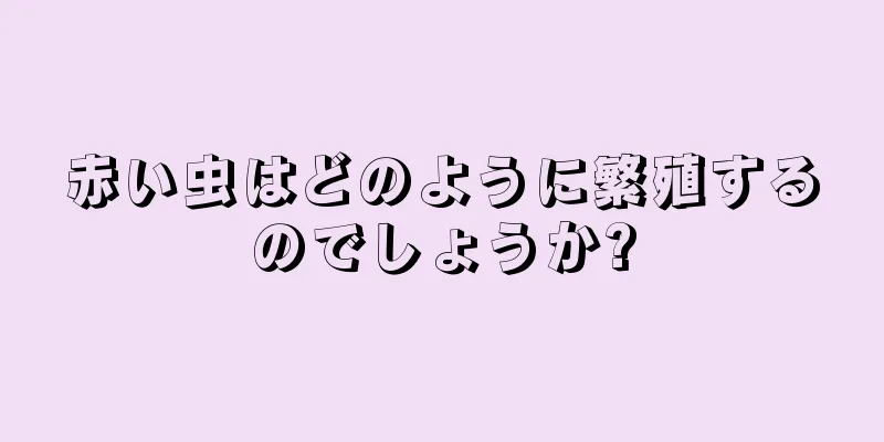 赤い虫はどのように繁殖するのでしょうか?