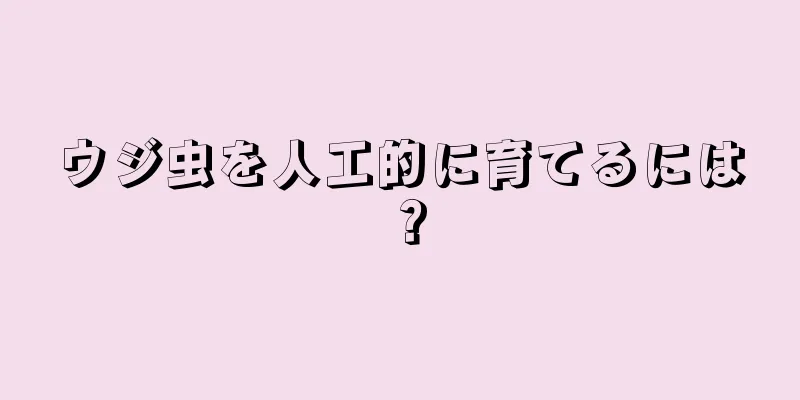 ウジ虫を人工的に育てるには？