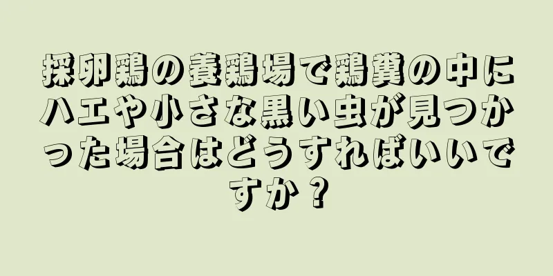 採卵鶏の養鶏場で鶏糞の中にハエや小さな黒い虫が見つかった場合はどうすればいいですか？