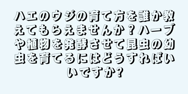 ハエのウジの育て方を誰か教えてもらえませんか？ハーブや植物を発酵させて昆虫の幼虫を育てるにはどうすればいいですか?
