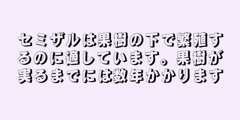 セミザルは果樹の下で繁殖するのに適しています。果樹が実るまでには数年かかります