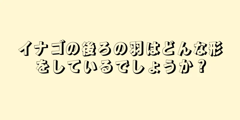 イナゴの後ろの羽はどんな形をしているでしょうか？