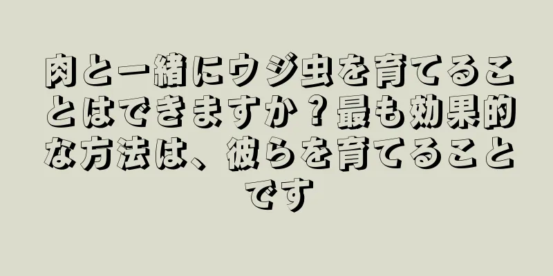 肉と一緒にウジ虫を育てることはできますか？最も効果的な方法は、彼らを育てることです